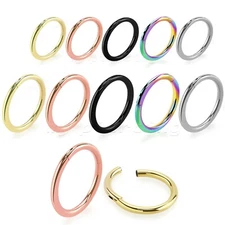 PAIR Hinged Seamless Segment Ring Hoop Earring Cartilage Labret Nose Ring Septum