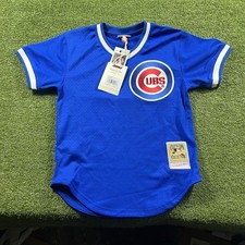 Chicago Cubs Greg Maddux #31 Mitchell & Ness Blue 1987 Authentic Size S Jersey