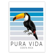 Gift Sticker : Toucan Pura Vida Costa Rica Bird Tropical Animal