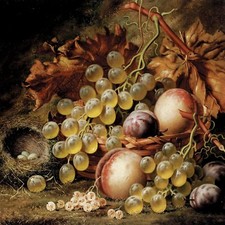 PEACHES GRAPES BIRD'S NEST H. Todd Tile Mural Kitchen Backsplash Marble Ceramic