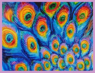 Bead embroidery kit Royal feathers hand embroidery needlework kit