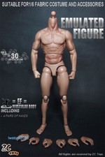 Figura de acción masculina muscular de 12" escala 1/6 de ZC Toys cuerpo para cabeza esculpida Hot Toys