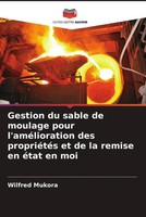 Wilfred Mukora | Gestion Du Sable De Moulage Pour L'améLioration Des...