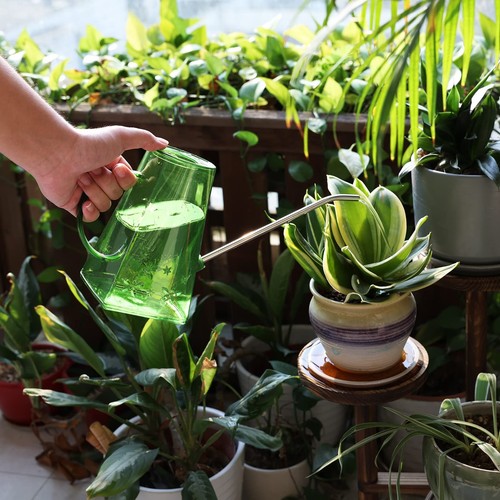 Watering Can, Watering Can Indoor Plants, Long Spout 47 oz Small Watering Can... - Picture 5 of 7