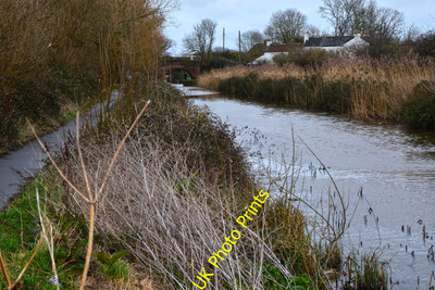 Photo 6x4 Bridgwater : Bridgwater and Taunton Canal Looking along the can c2016