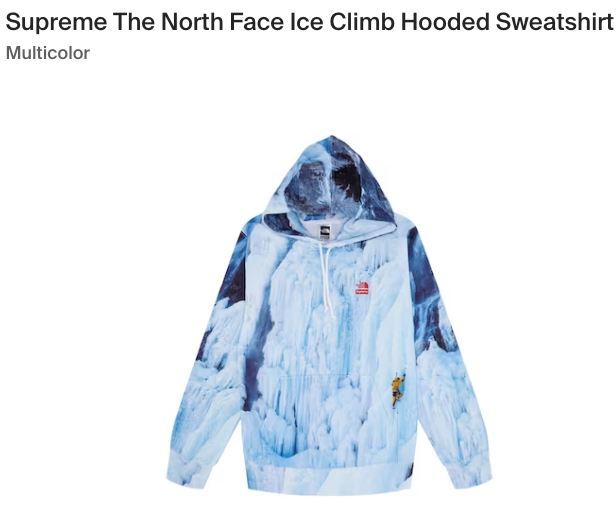 Supreme x The North Face Ice Climb Hoodie Size SMALL **READY TO 