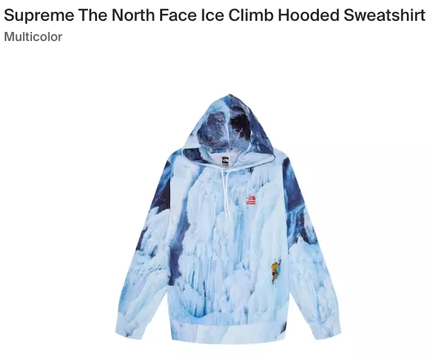 Sweat à capuche Supreme x The North Face Ice Climb taille SMALL **PRÊT À EXPÉDIER**