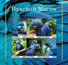 HYACINTH MACAW Bird Parrot Birds MNH 6v-Stamp Sheet (2023 Guyana)