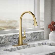 Kohler Guild Pull-Down Kitchen Sink Faucet 3-function R33912-2MB Gold New