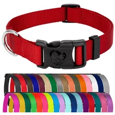 Country Brook Petz® Everyday Nylon Dog Collar