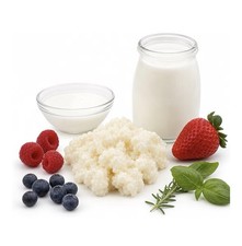 Kaukasische Bio-Kefirknollen für Milchkefir ...