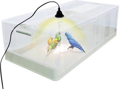 Large Transparent Chicken Brooder Box & Quail Cage - 31.5 Inch Coop Kit