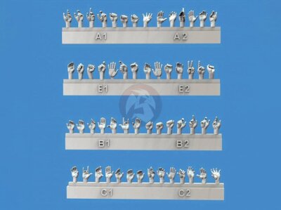Royal Model 1/48 Assorted Hands Set (28 Left & 28 Right, different poses) 1001