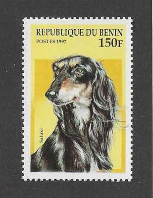 Dog Art Head Study Portrait Postage Stamp Black & Tan Silver SALUKI Benin MNH