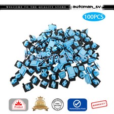 100pcs Fits For Hyundai Santa Fe 2012-2017 Rocker Panel Retainer Moulding Clips 100pcs Fits For Hyundai Santa Fe 2012-2017 Rocker Panel Retainer Moulding Clips