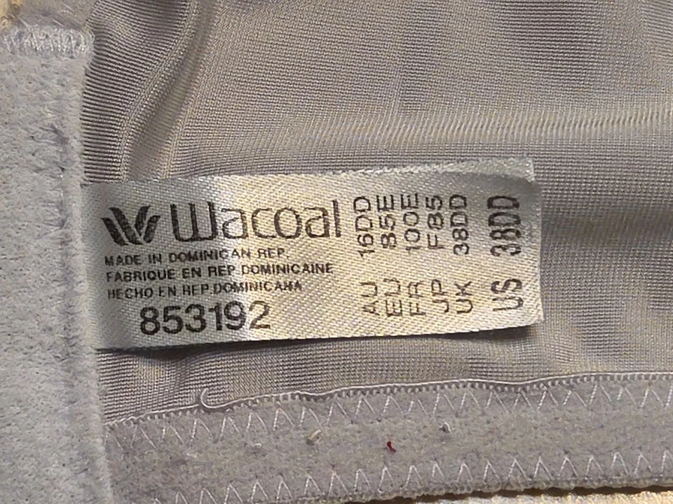 Wacoal Bra 38DD Basic Beauty Forrado Camiseta Sujetador Azul Con Aros 853192 Foto 4 de 4