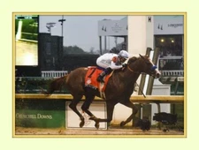 JUSTIFY wins Kentucky Derby Triple Crown 8x10 Double Matted 5x7 Photo print 
