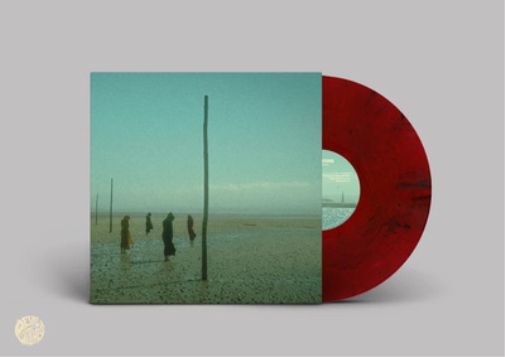 Devil's Witches In All Her Forms (Vinyl LP) 12" Album Coloured Vinyl