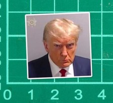 Donald J Trump Mug Shot Sticker Decal inmate jail