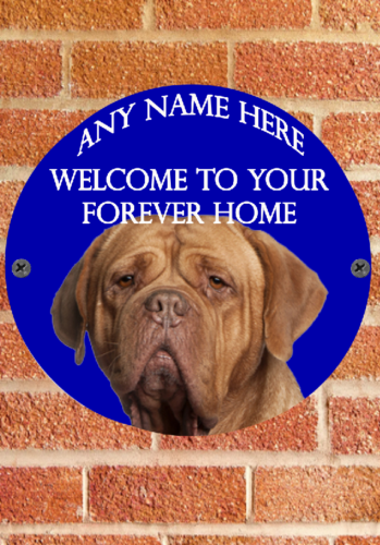 pnc690 Dogue de Bordeaux Welcome to your forever home plaque personalised card - Picture 1 of 1