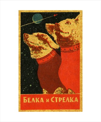 Soviet Russian Space Poster On Canvas Print 8x10'' BELKA & STRELKA MK016