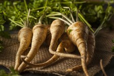 1200 SEMI DI PREZZEMOLO A RADICI "SPEDIZIONE GRATUITA "