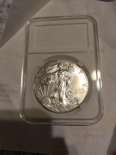 2013 American Silver Eagle 1 oz Bullion Coin Brilliant Uncirculated.