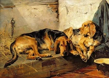 Large Oil painting two mighty dogs sitting together no framed free shipping cost