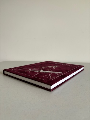 Emmanuel Honorato Vazquez In Modernista en Los Andes Hardcover - Imagen 2 de 13