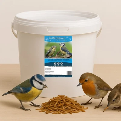 10L Futterbauer Mehlwürmer im Eimer 1,5kg Nettogewicht Vogelfutter Igelfutter