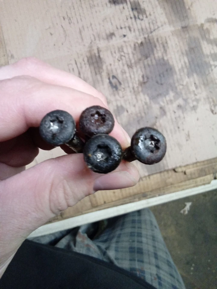 98-02 Volvo V70 B5244t 2.4 pernos de bomba de aceite S70 B52 tornillos Foto 2 de 4