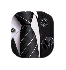 Mens Tie and Lapel Pin Paisley Striped Floral Necktie for Men Black Whites