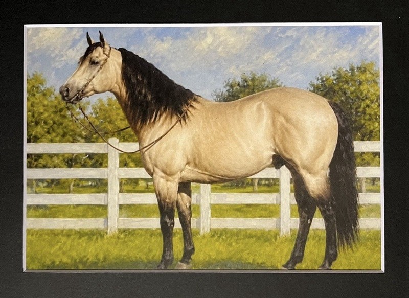 HOLLYWOOD DUN IT MATTED PRINT CHAMPION QUARTER HORSE PAINTING COPY 8”x 10” MAT