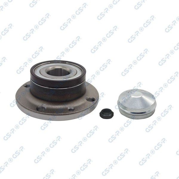 GSP Radlagersatz 9230047K FüR Fiat-image