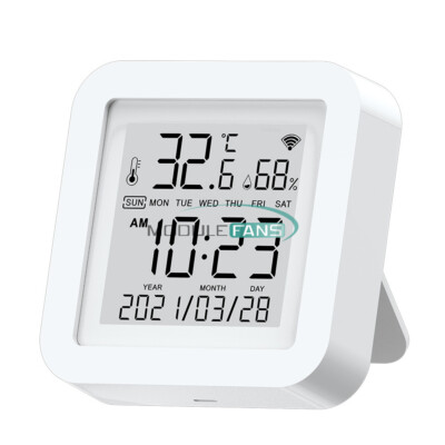 Smart WiFi Temperature Humidity Sensor Thermometer Hygrometer Alexa Google Tuya