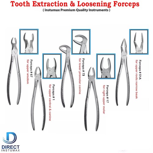 Dental Zahnpinzette Set Fig-1/17/22/51/67/73 Oberer Unterer Backenzahn Extraktion Pinza - Bild 21 von 21