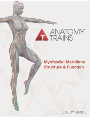 Anatomy Trains Myofascial Meridians Structure & Function Study by Thomas Myers
