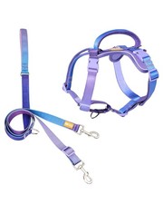 DF Freedom No Pull Martingale Dog Harness and Leash Set, Front Clip Adjustable H