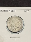 1937 Buffalo Nickel   sharp