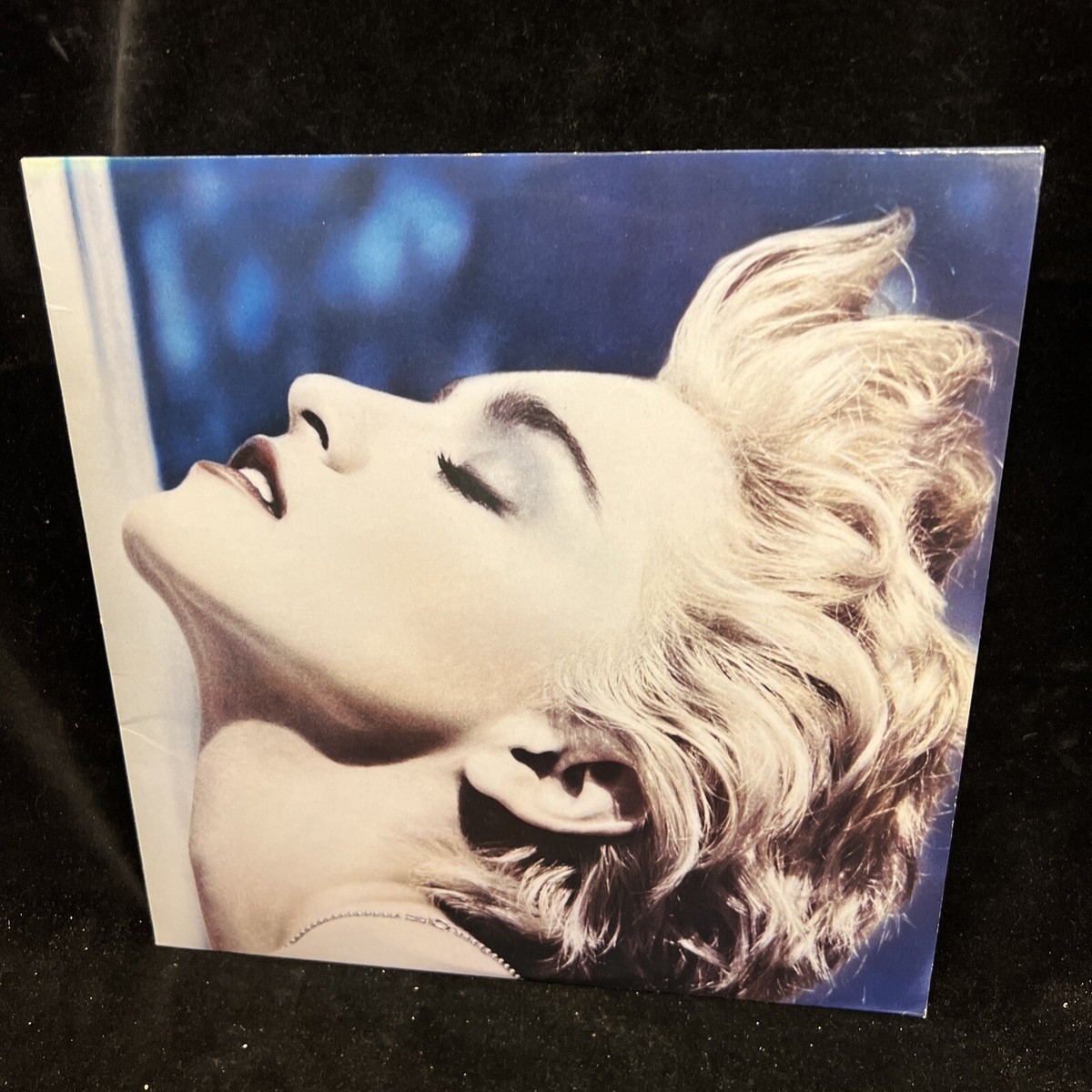 香LP Madonna True Blue 9254421 Sire /00260 Original Madonna 