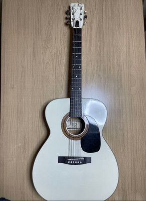 De Luxe The Golden Guitar アコースティックギター Acoustic Guitar De Luxe Long The Golden Model F120 White Made in
