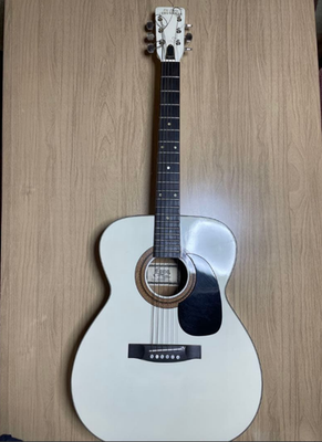 De Luxe The Golden Guitar アコースティックギター Acoustic Guitar De Luxe Long The Golden Model F120 White Made in