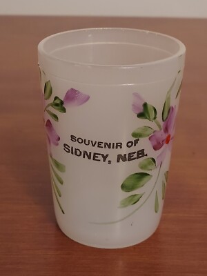 EAPG Clambroth SIDNEY NE Nebraska PAINTED FLOWERS Souvenir Glass WATER TUMBLER
