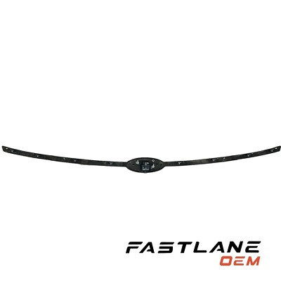 2013-2019 FORD TAURUS FRONT BUMPER TRIM EMBLEM WITH CAMERA OEM