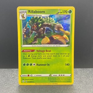 Pokémon Shining Fates - Rillaboom Holo 013/072 - NM-M