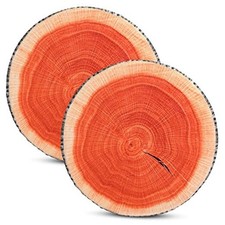 2 Pcs Round Throw Pillow Decorative Wood Slice Floor Cushion 3D Vintage