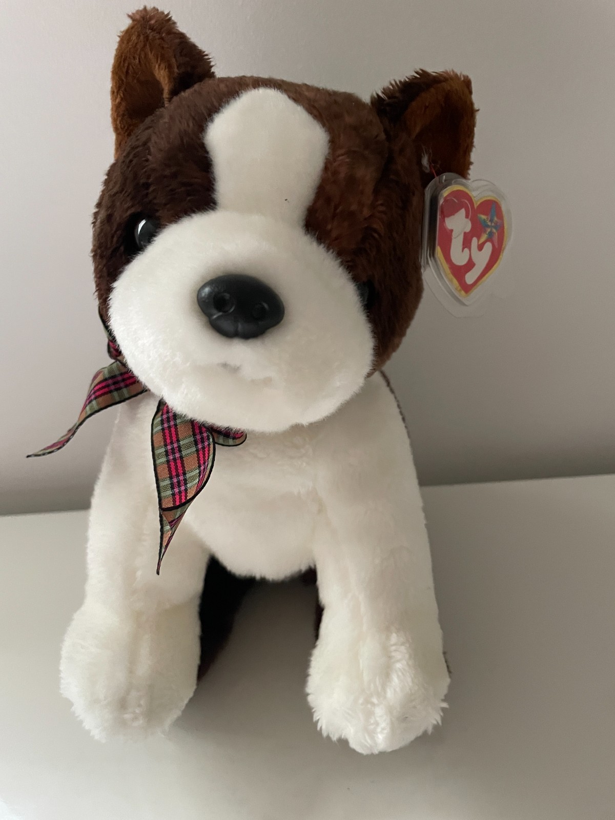 TY Buddy SPORT Boston Terrier Dog 90031 10"" TALL ***VG CONDITION BUT DAMAGED TAG