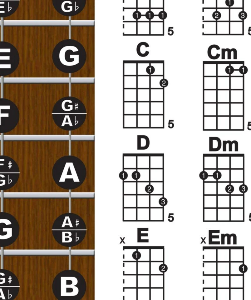 4 String Plectrum Banjo Fingerboard Chords Poster Chart - Image 3 of 4
