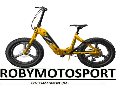 BICI ELETTRICA RESET REDWOOD X PIEGHEVOLE E-BIKE BICI 250 WATT ASSISTITA |  eBay