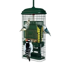 Brome Squirrel Buster Suet Bird Feeder 1106 Width 8.75 in. Height 18.5 in. Deep
